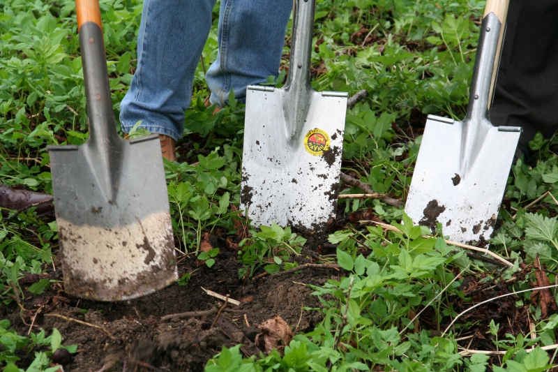 pepiniere-MARIE-min_work-lawn-flower-tool-green-backyard-1103633-pxhere.com